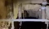 Main image for Over 180 Migrants Detained After Using Hidden Tunnel From Belarus Into Poland.