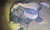 Main image for IDF Busts Drug Smuggling Cell Near Egypt Border.