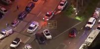 Main image for Update: Australian Police Recover Suspected Explosives After Bondi Shooting.
