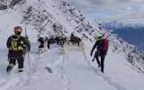 Main image for Italian Rescuers Recover 37 Goats Stranded High on Mountain.