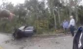 Main image for Florida Man Claims 'Teleportation' After Crashing Stolen BMW. 🤣
