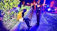 Main image for Mickey Mouse Burglary Ends Quickly Thanks to Swift Police Action.