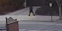 Main image for A New Surveillance Footage Fails to Identify Brown University Shooter.