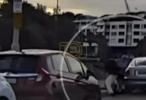 Main image for Another Dashcam Video Captures Another Heroic Attempt to Stop Bondi Beach Gunman.