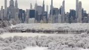 Main image for Central Park Sees First Snowfall of 2025 Season.