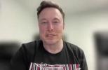 Main image for Musk Turned Job Rejection at Netscape Into $307M Success.