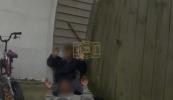 Main image for Kids Steal Car and Are Caught After Wild Chase in Ohio.