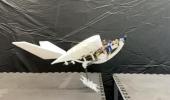Main image for Researchers Create Energy-Efficient Drone That Launches Like a Crow.