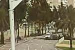 Main image for Driver Injured as Tree Crushes Onto Vehicle in Ashkelon.