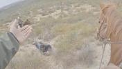 Main image for Texas Border Patrol Stops Deported Honduran Felon Hiding in Brush.