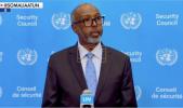 Main image for Somalia's UN Ambassador Linked to Convicted Ohio Medicaid Firm.