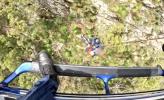 Main image for Dramatic Helicopter Rescue Saves Two Hikers in Queensland Mountain.