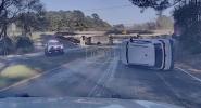 Main image for Dashcam Shows Suspect Fleeing on Foot After Violent Texas Crash.