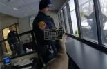 Main image for Frightened Deer Causes Chaos Inside Long Island Bank.