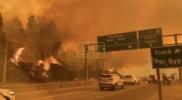 Main image for Deadly Wildfire in Chile Kills at Least 14 and Hundreds of Homes Destroyed.