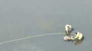 Main image for Colorado Firefighters Rescue Deer Trapped in Frozen Reservoir.