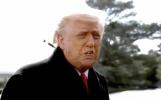 Main image for Trump Highlights Positive Developments Amid Ukraine-Russia Discussions.