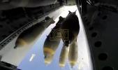 Main image for U.S. Gunships Dominate the Battlefield From the Sky.