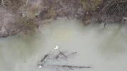 Main image for Dramatic Helicopter Rescue Saves Man Clinging to Tree, Pulled to Safety.