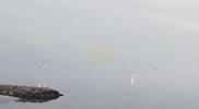 Main image for Archival Footage Shows Russian Helicopter Shot Down at Hostomel.