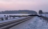 Main image for Over 100 European Bison Herd Crosses Rural Road in Eastern Poland.
