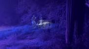 Main image for Pima County Forensics Search Brush Near Nancy Guthrie's Home.