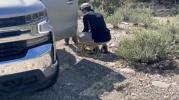 Main image for KEY CLUE: FBI Recovers Black Glove in Nancy Guthrie Kidnap Investigation.