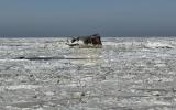 Main image for Locals Report Most Extensive Sea Ice Since 1977 in Delaware Bay.