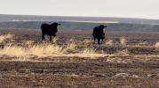 Main image for Oklahoma Wildfire Scorches Hundreds of Thousands of Acres.