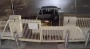 Main image for Brisbane Man Charged After Synagogue Gate Ramming.