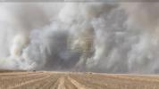 Main image for Wind-Driven Wildfires Rage Across Texas' 155,000 Acres.