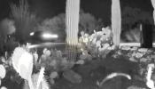 Main image for Camera Captures Suspicious Vehicles Near Guthrie Kidnapping.