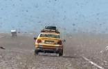 Main image for Sahara Highway Overrun by Swarming Locusts.