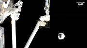 Main image for NASA Cargo Dragon Departs ISS With 5,000 Pounds of Supplies.