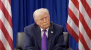 Main image for Trump Jokes He'd Reincarnate as Himself in Jake Paul Interview.