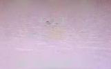 Main image for Qatar Air Force Intercepts Iranian Drones Over Airspace.
