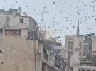 Main image for IAF Drops Leaflets in Beirut Urging Civilians to Disarm Hezbollah.