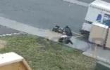 Main image for USPS Carrier Caught Shoving 4-Year-Old in Monsey.