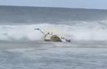 BREAKING: Helicopter Crash Off Kauai Leaves Three Dead.