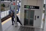 Main image for BREAKING: Man Survives Shove Onto Train Tracks in Seattle.