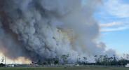 Main image for Florida Brush Fire Rages Through Collier County Forest.