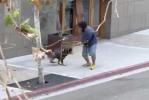 Main image for Police Dog Helps Arrest Armed Suspect After Downtown Stabbing Attack.