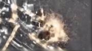 Main image for &ldquo;Roaring Lion" Roars: Israel Cripples Iran's Naval Power in Massive Strikes.
