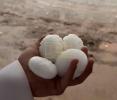Main image for Watch: Massive Hailstones and Floodwaters Disrupt Saudi Arabia.