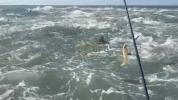 Main image for North Carolina Fisherman Brett Barley Surrounded by Sharks in Wild Feeding Frenzy Escapes.