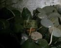 Main image for Update: IDF Destroys Hezbollah Tunnels and Weapons Sites Amid Renewed Border Escalation. 