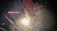 Main image for BREAKING: The IDF has found another massive underground tunnel in Gaza, several kilometers long, which was used by Gazan terrorists.