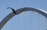 Main image for Communist Protesters Climb Massive DC Bridge During Chaotic May Day Demonstrations in Washington.