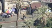 Main image for Yesterday, Federal Agents Bust Massive Southern California Drug Ring, Seizes 19 Kilos of Deadly Fentanyl and Arrest 17 Suspects.