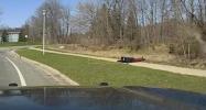 Main image for Michigan Suspect Crashes Into Pond After High-Speed Chase With Car Packed With Weapons.
